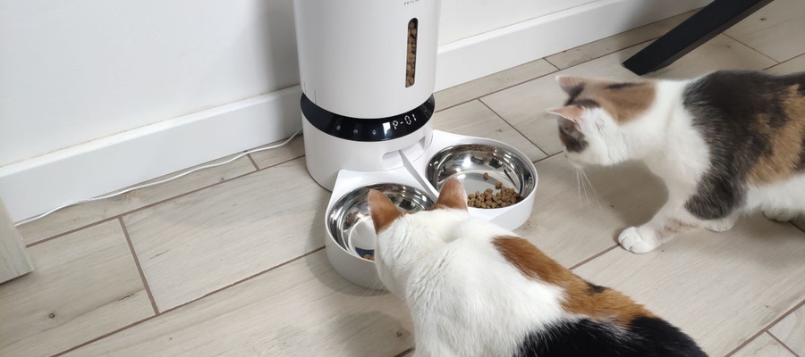 Petlibro PLAF006 Review — an Affordable Automatic Cat Feeder With Two Bowls