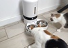 Petlibro PLAF006 Review — an Affordable Automatic Cat Feeder With Two Bowls