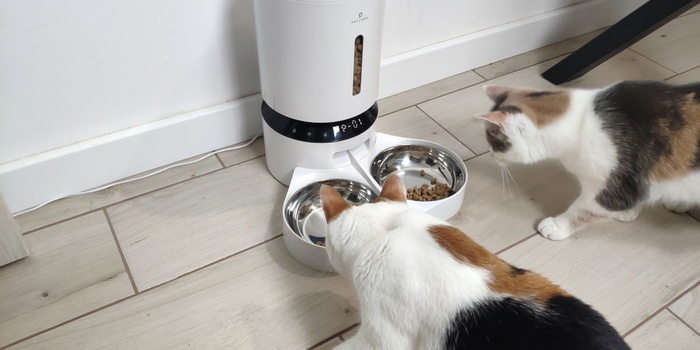 Petlibro PLAF006 Review — an Affordable Automatic Cat Feeder With Two Bowls