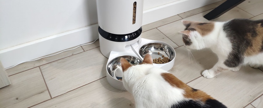 Petlibro PLAF006 Review — an Affordable Automatic Cat Feeder With Two Bowls